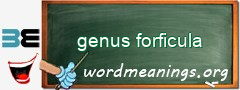 WordMeaning blackboard for genus forficula